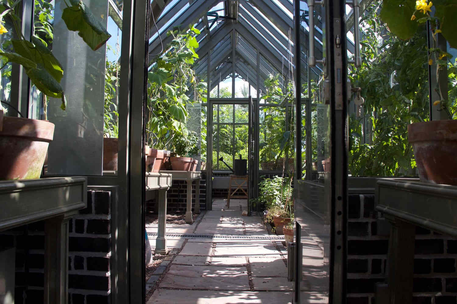 sodovateplychka-banner