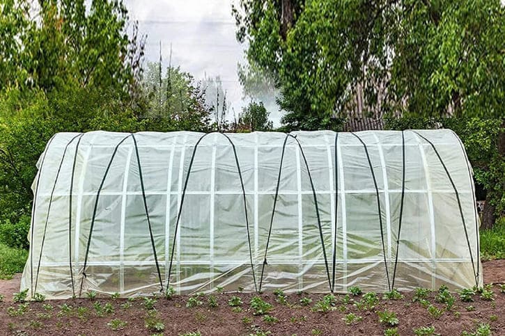 sodovateplychka-blog-img2